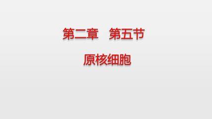 浙科版 必修1 第二章 第五节 《原核细胞》