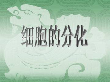 细胞的分化_课件1