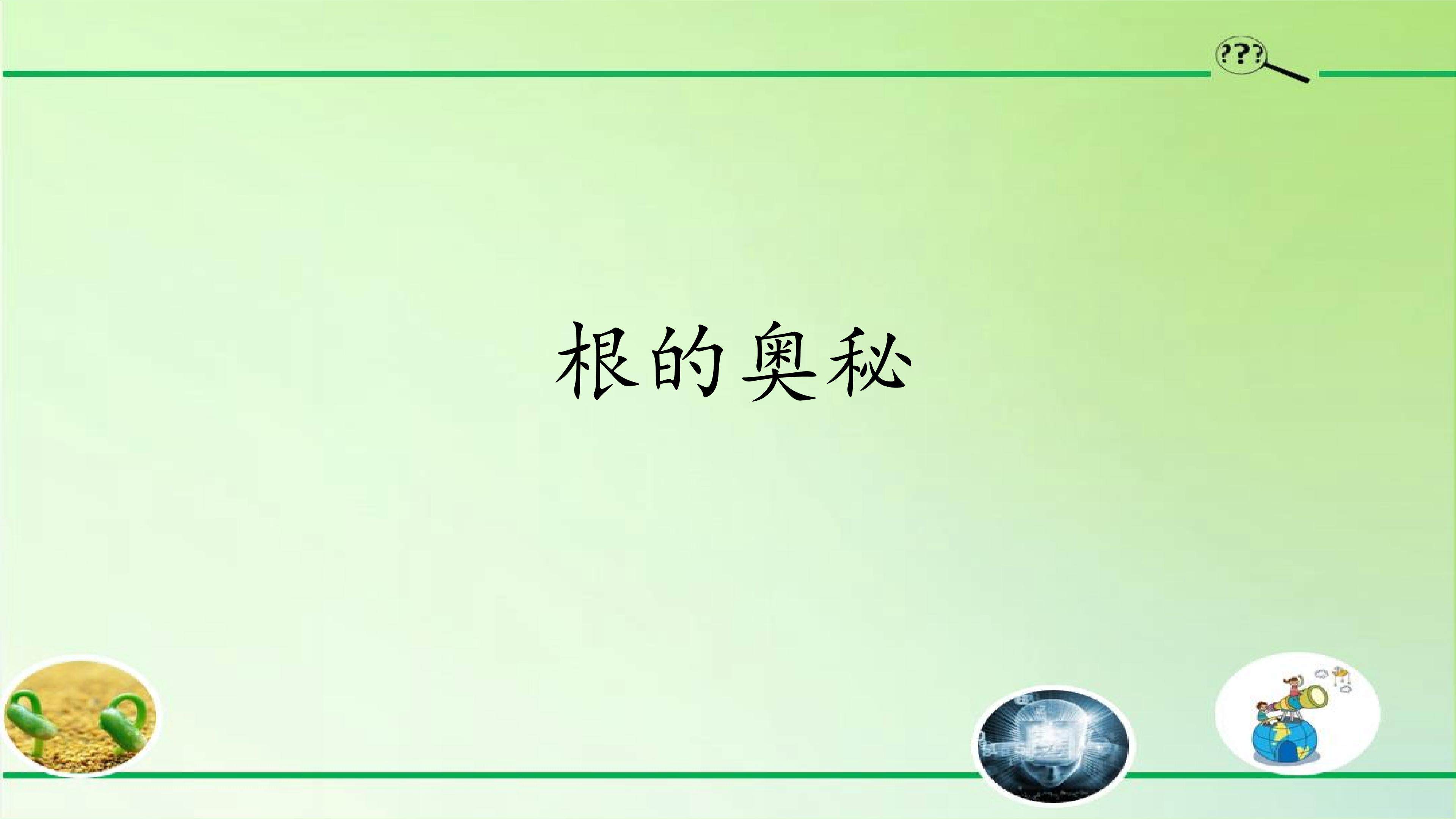 根的奥秘