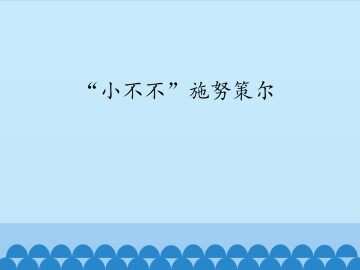 “小不不”施努策尔_课件1