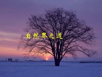 自然界之道_课件1