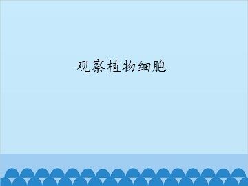 观察植物细胞_课件1