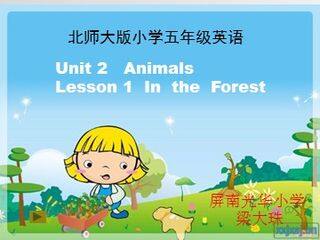 Unit 2  Animals  Lesson 1 课件