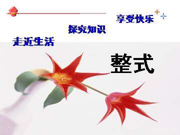 整式乘法_课件1