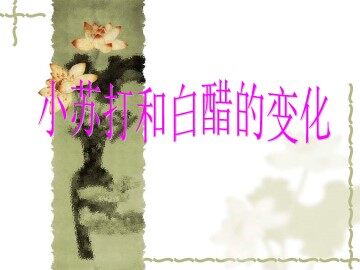 《小苏打和白醋的变化》课件1