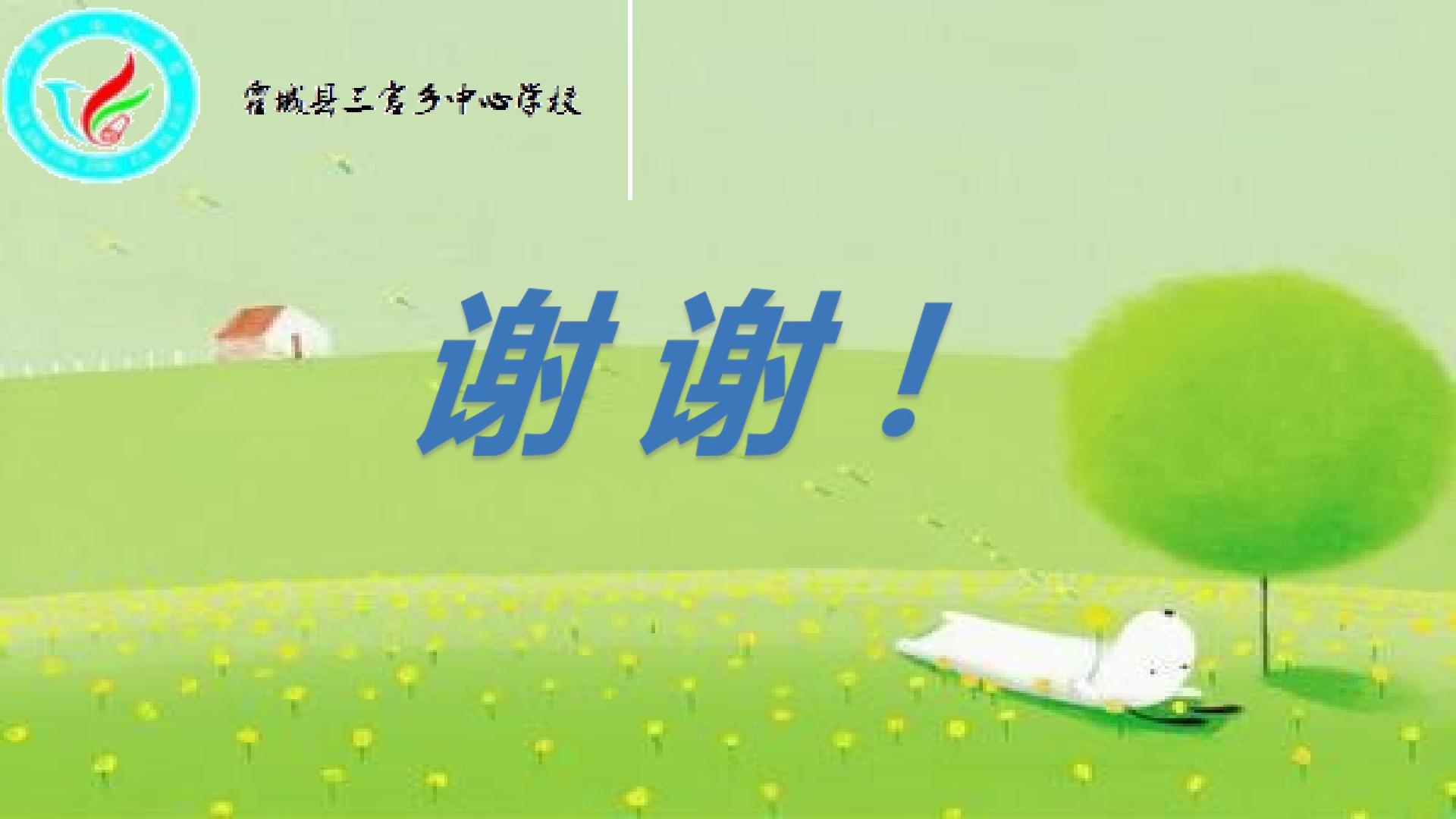 13.jpg