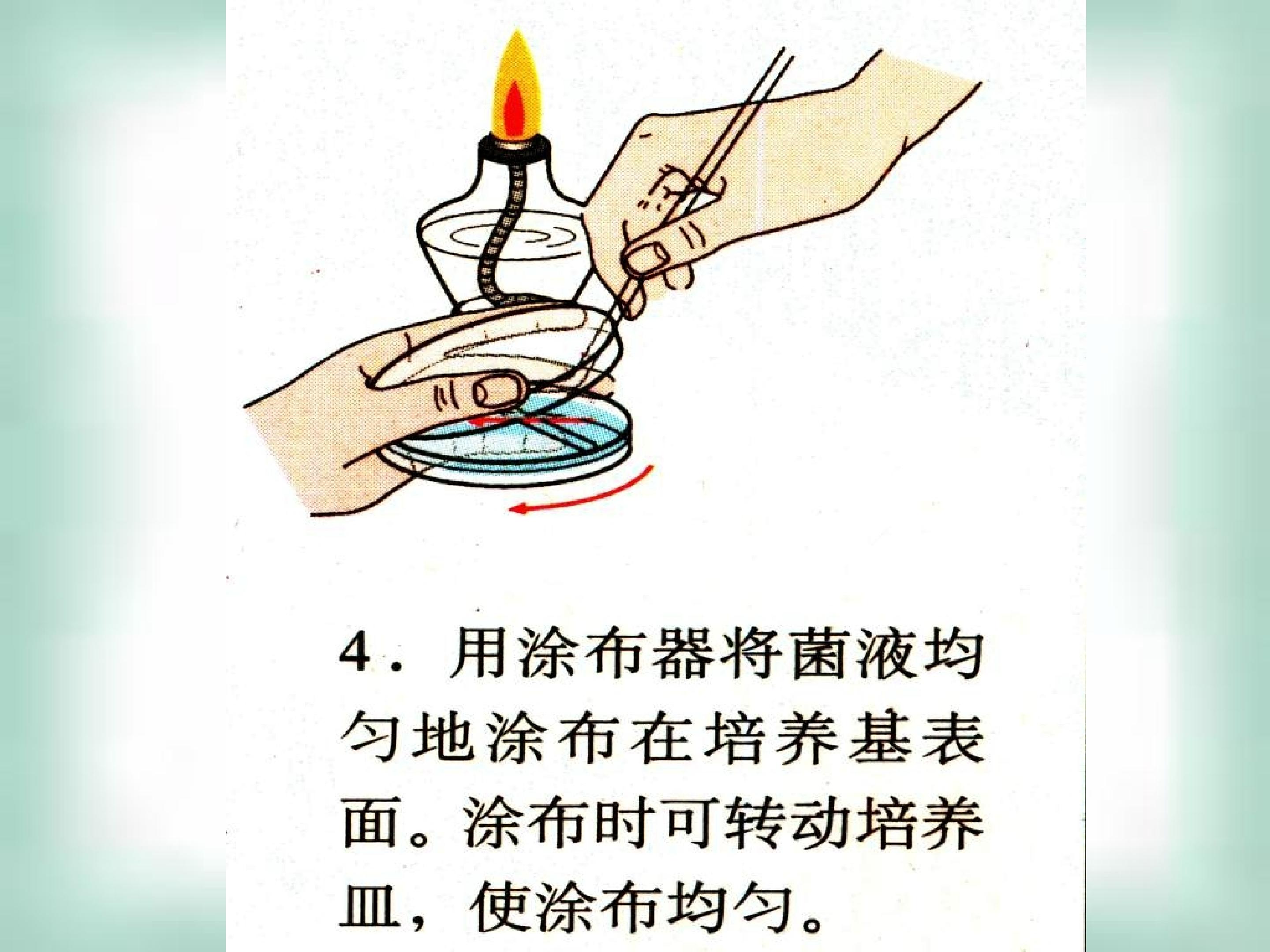 51.jpg