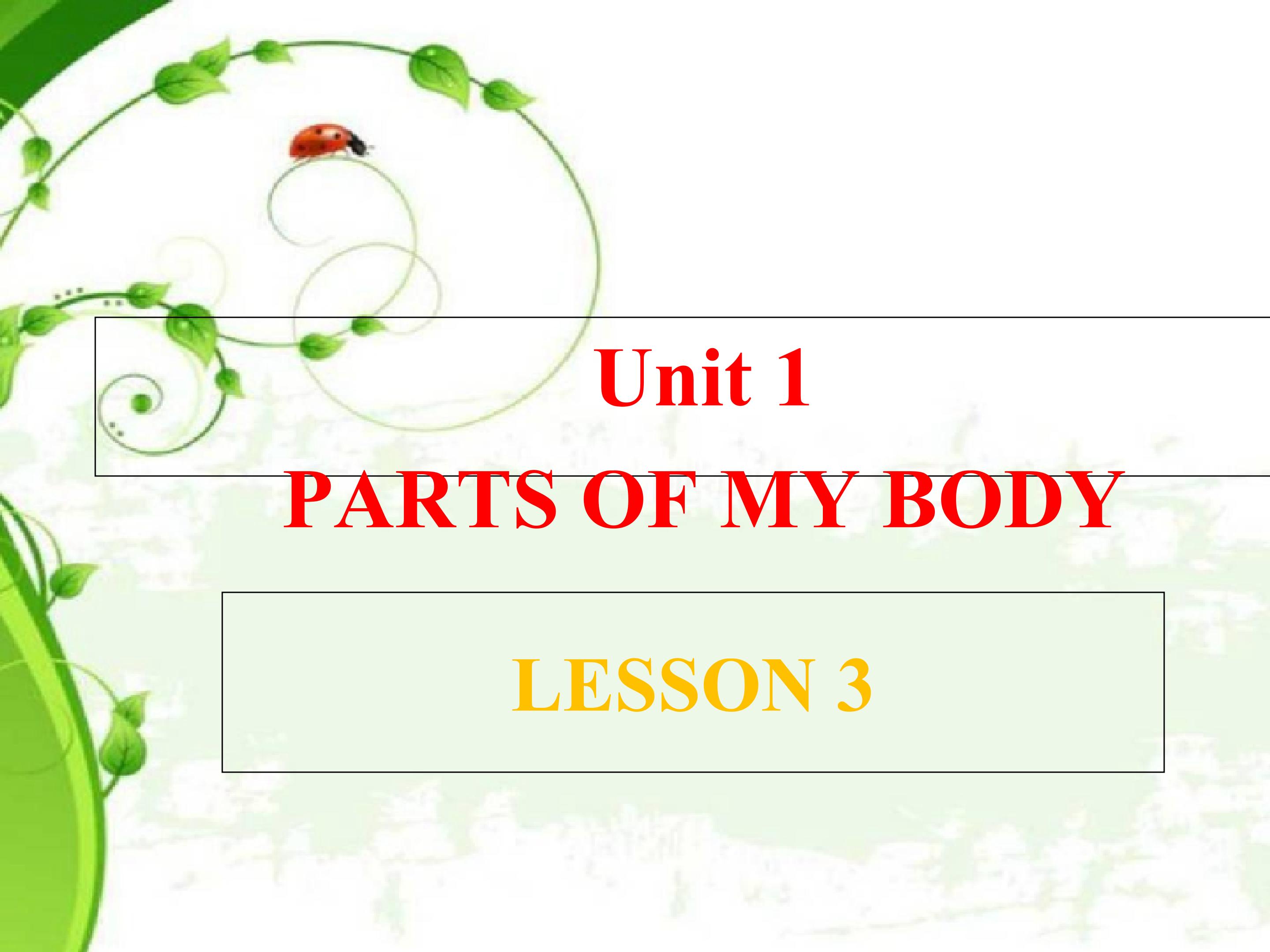 Unit 1 PARTS OF MY BODY LESSON 3 课件