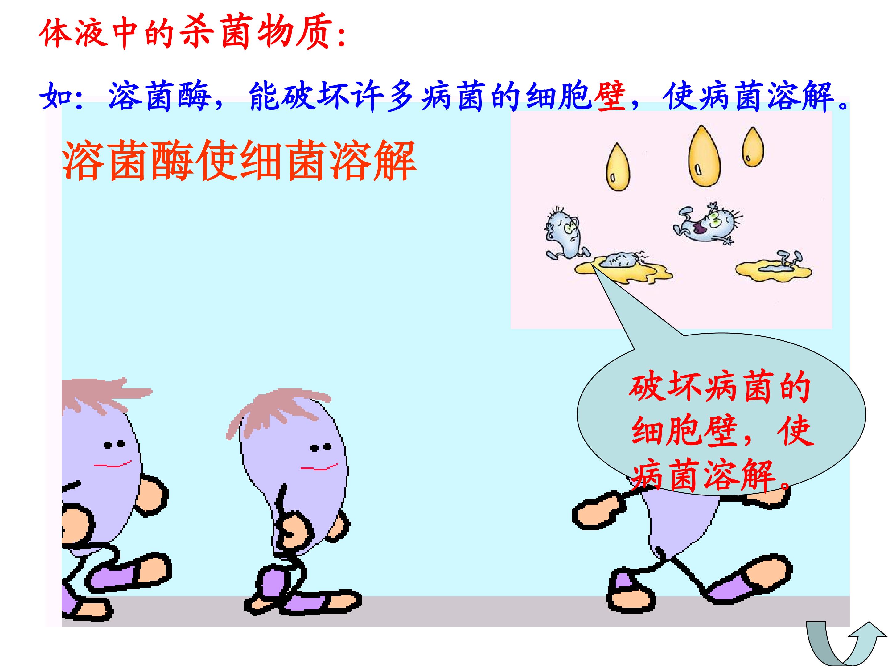 15.jpg