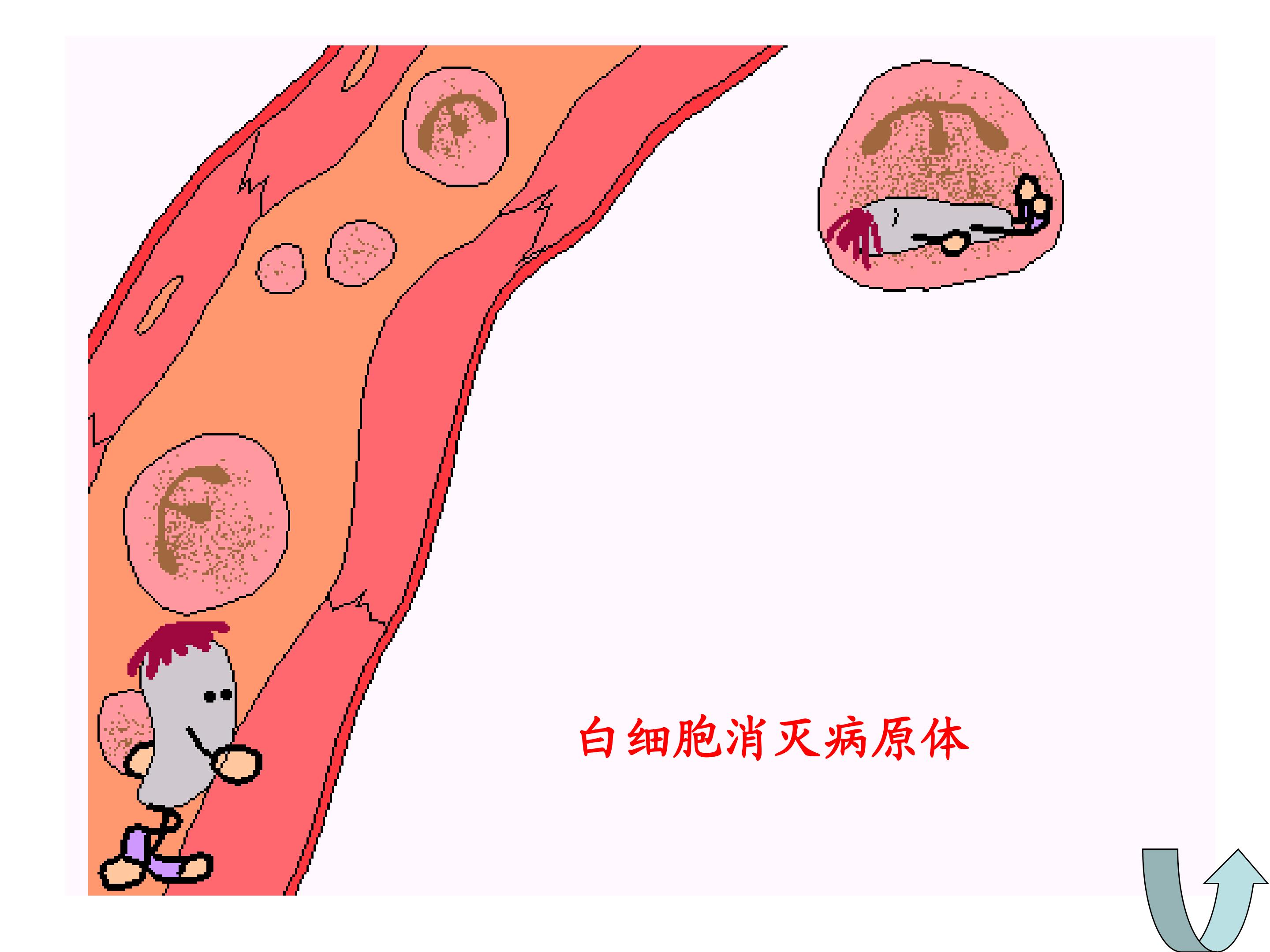 18.jpg