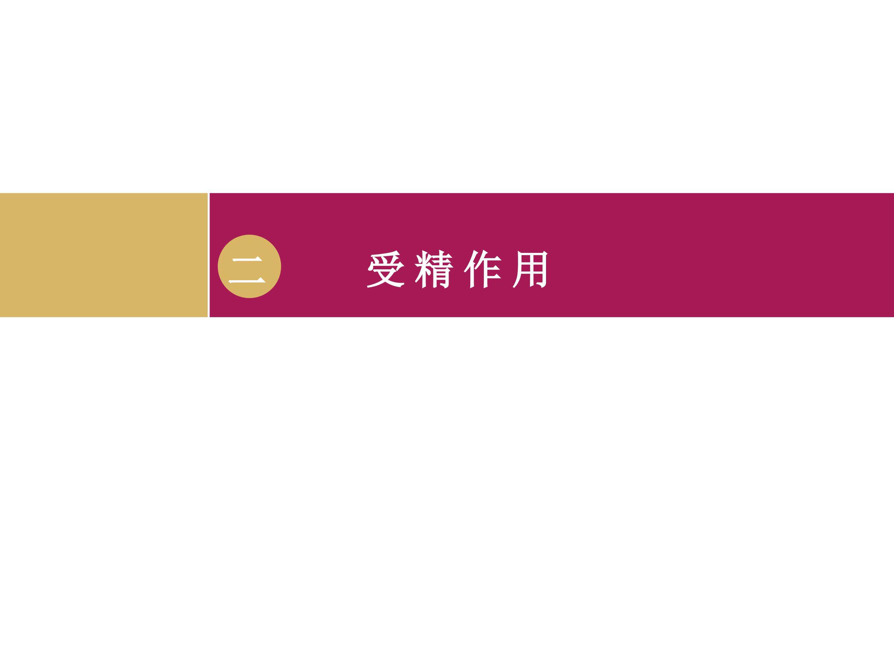 受精作用