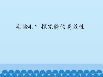 实验4.1 探究酶的高效性_课件1