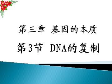 第3节  DNA的复制