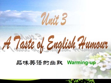 A taste of English humour_课件11