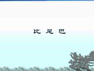 比尾巴_课件2