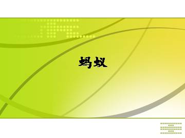 蚂蚁_课件1