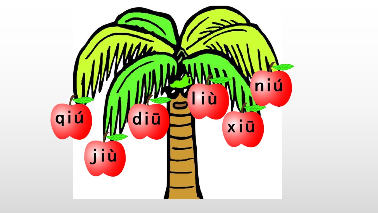 16.jpg
