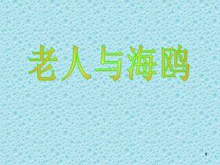 21 老人与海鸥