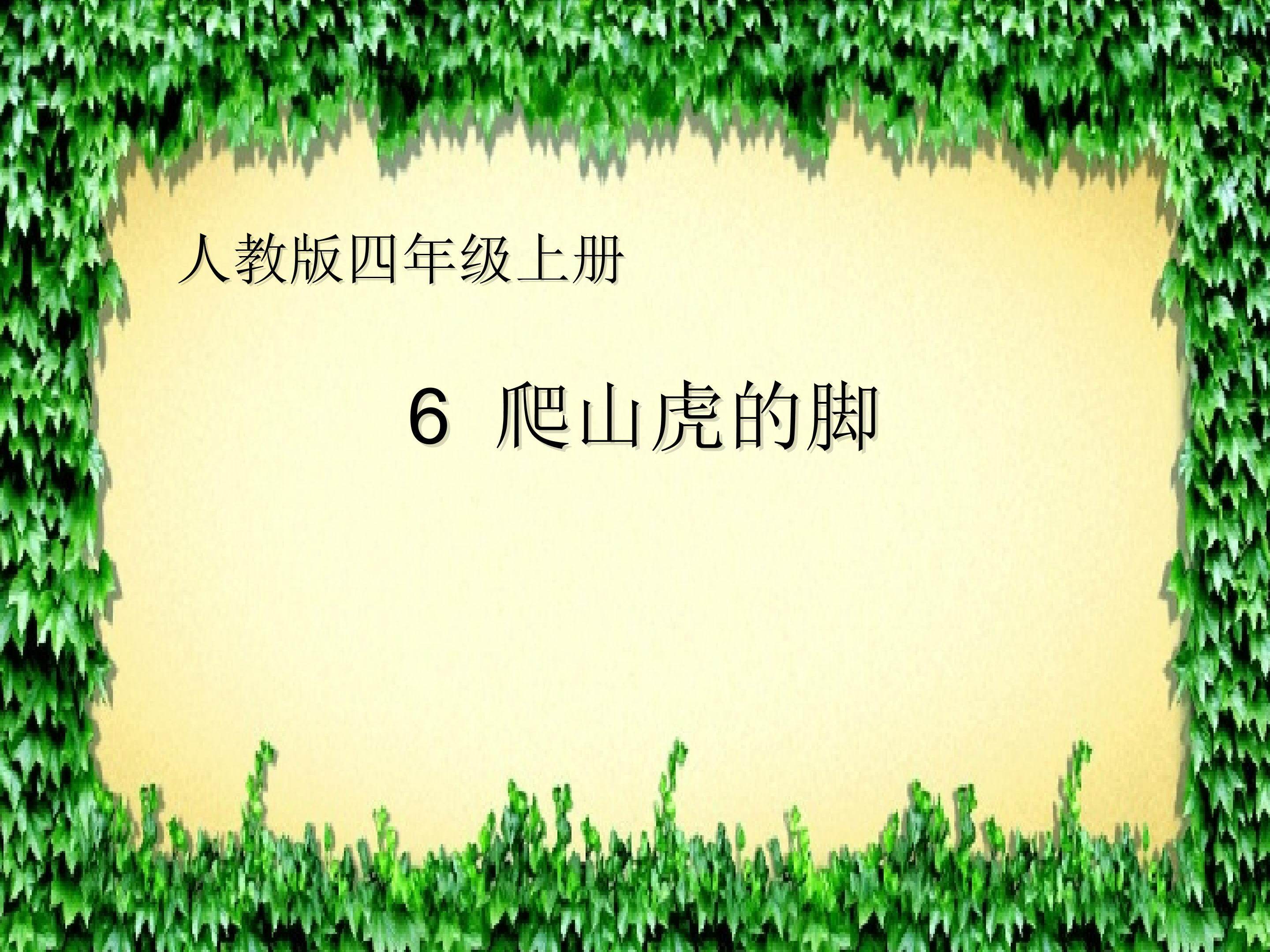 爬山虎的脚