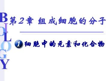 生物高中必修1第二章第一节课件4