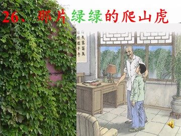 26 那片绿绿的爬山虎