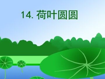 14 荷叶圆圆 
