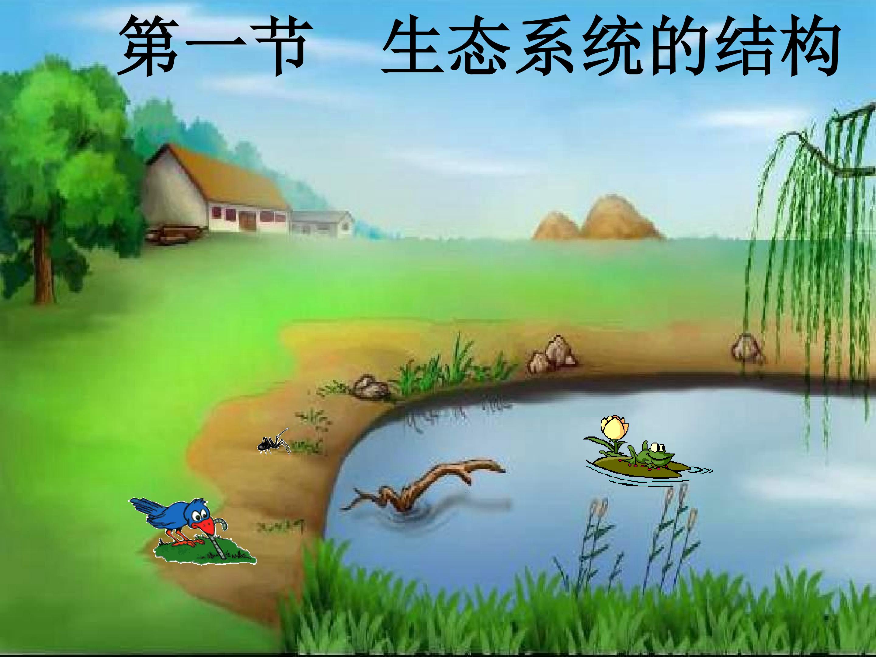 生态系统的结构