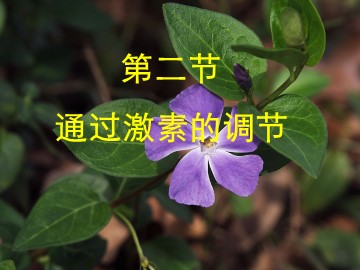 生物高中必修3第二章第二节课件6