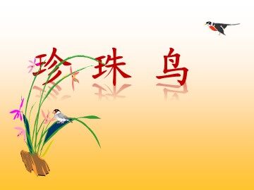 16* 珍珠鸟