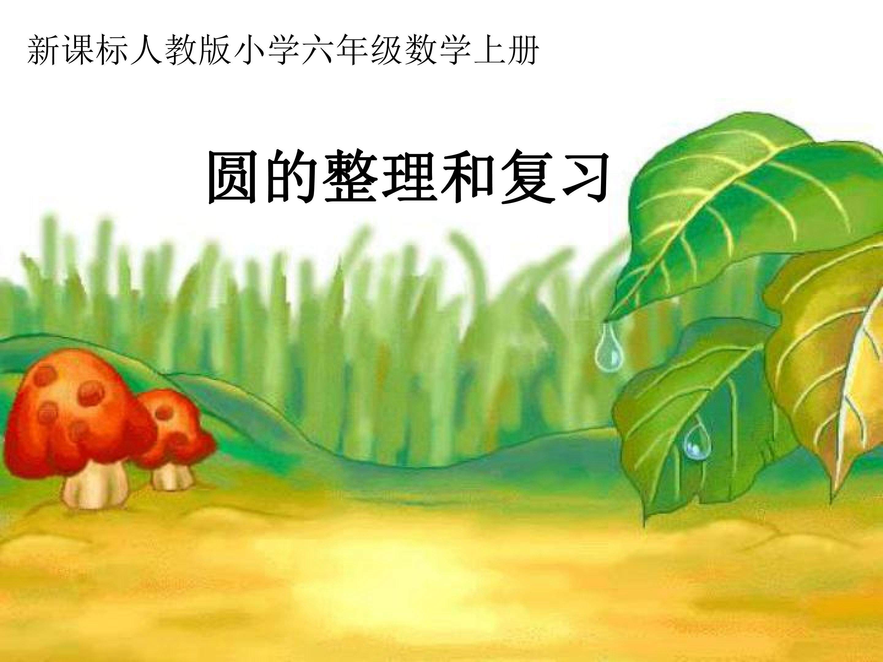 圆的整理和复习