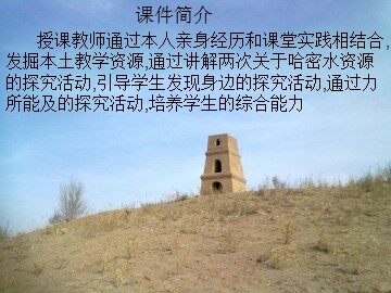 二、活动方案——提出假设与制定计划