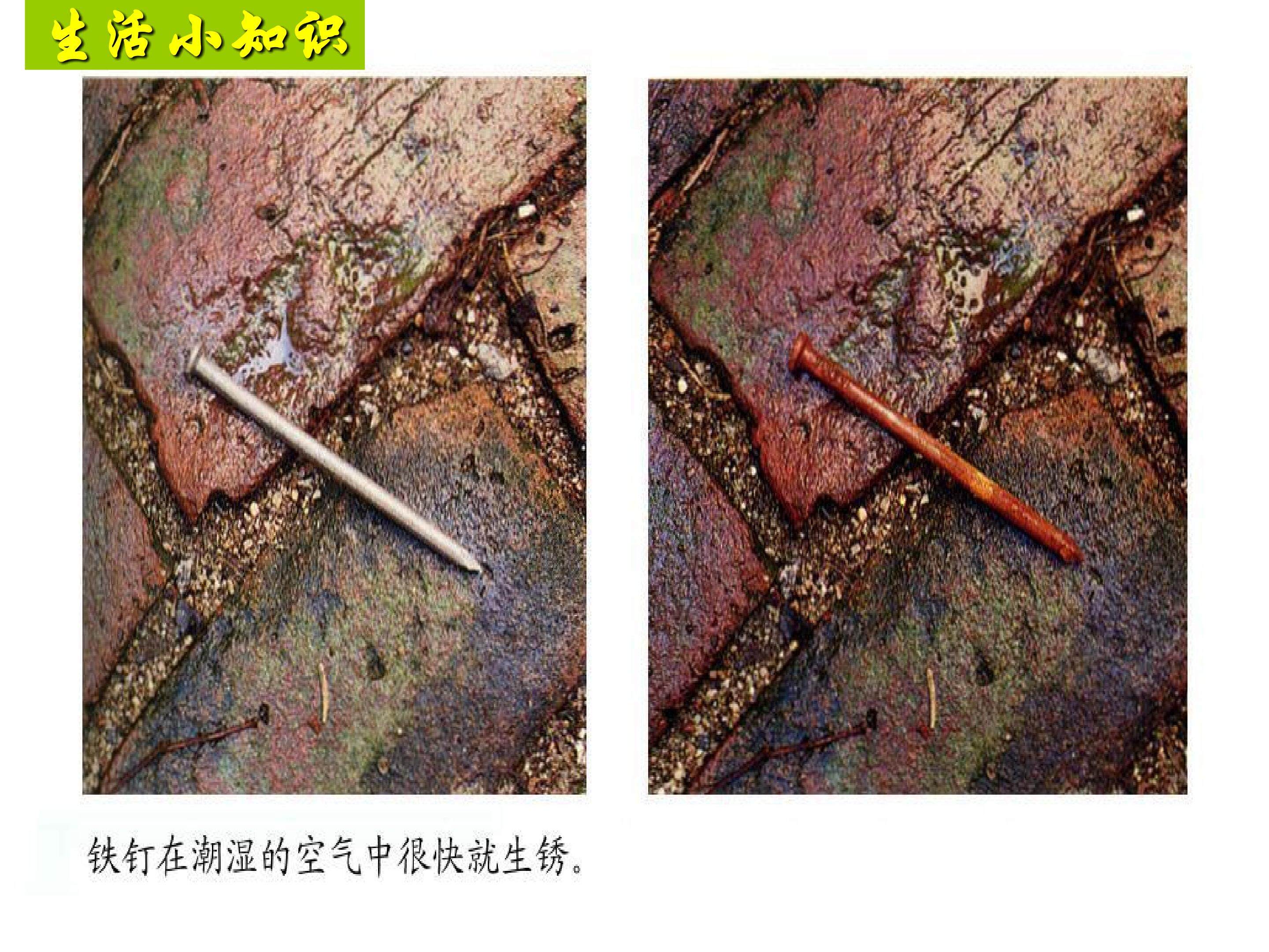 Fe2+与Fe3+的检验及转化