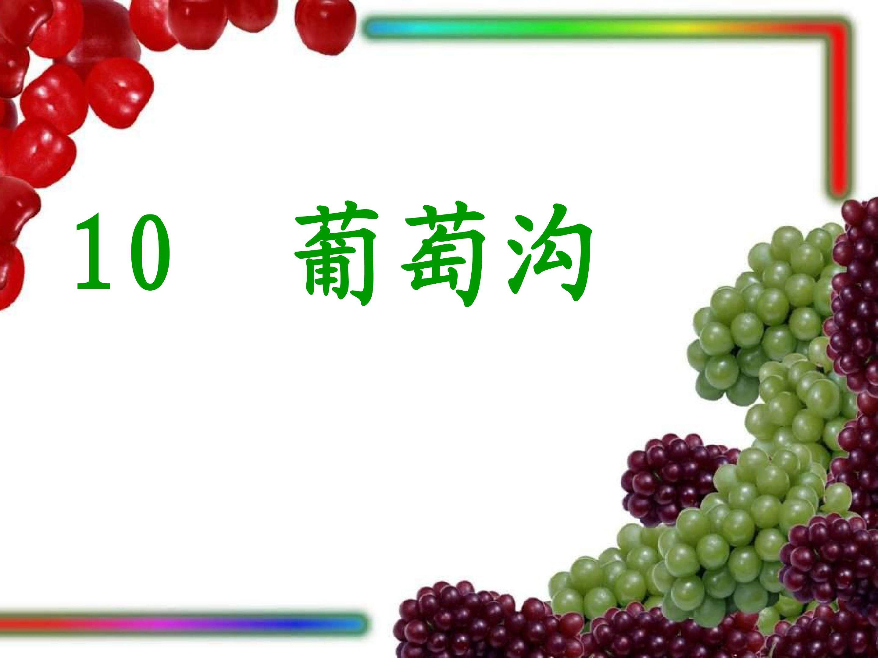10葡萄沟