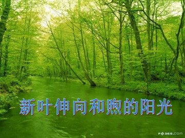 生物高中必修1第五章第二节课件1