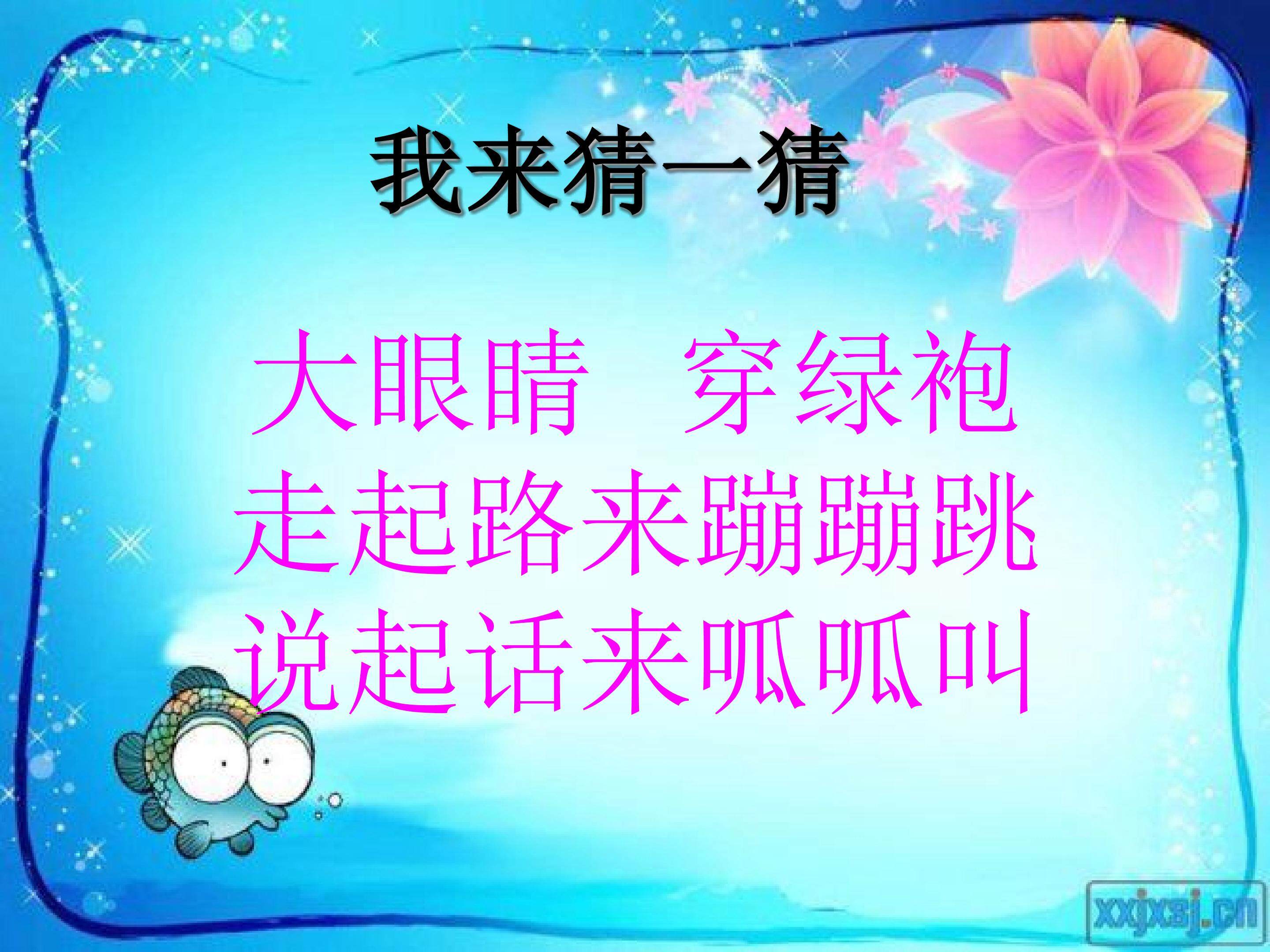 小青蛙找家--《青蛙妈妈》