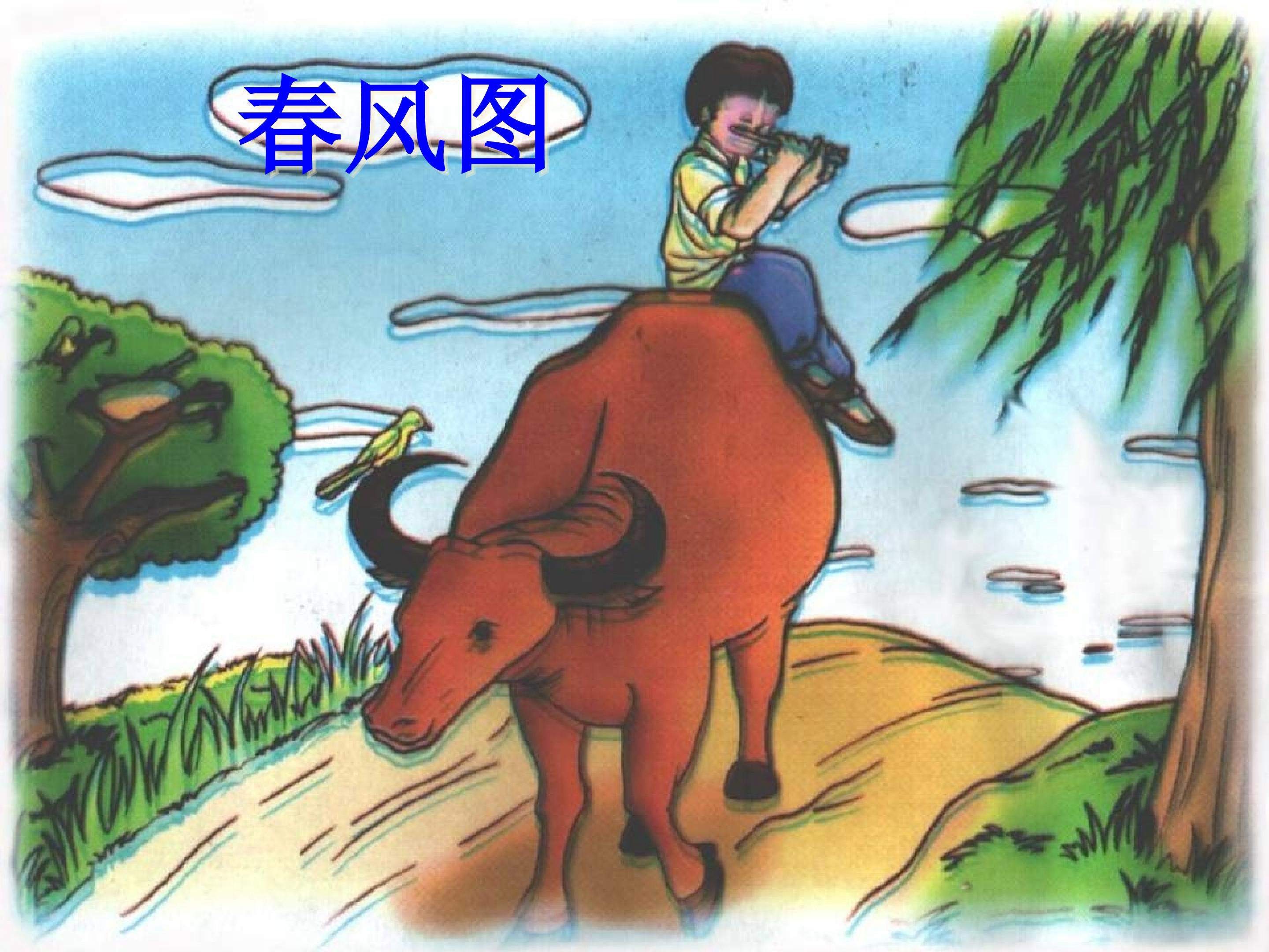 21.jpg