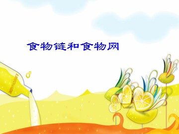 《食物链和食物网》课件