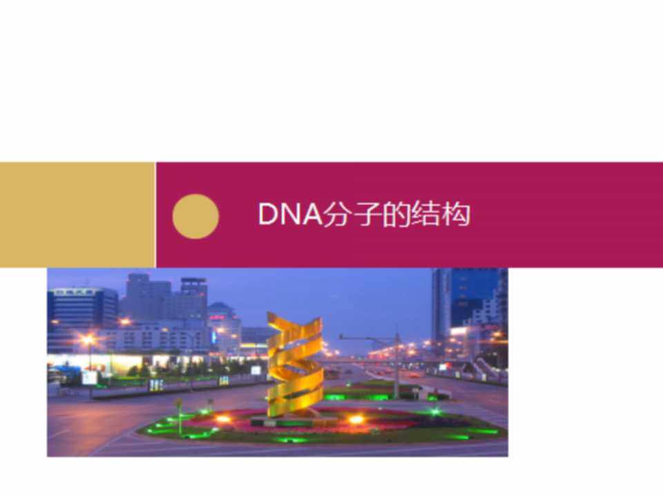 DNA分子的结构