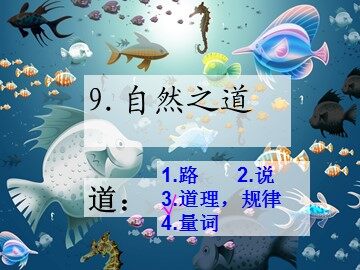 9 自然之道