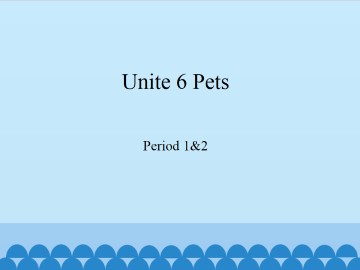 Unit 6 Pets（Period 1&2）_课件1