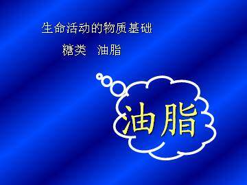 糖类 油脂_课件1