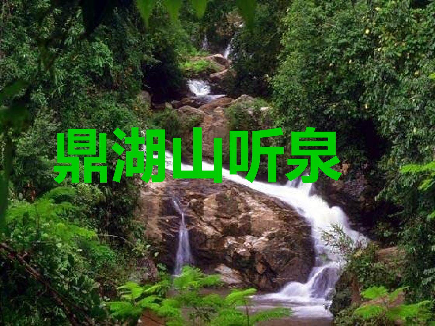 鼎湖山听泉_课件1