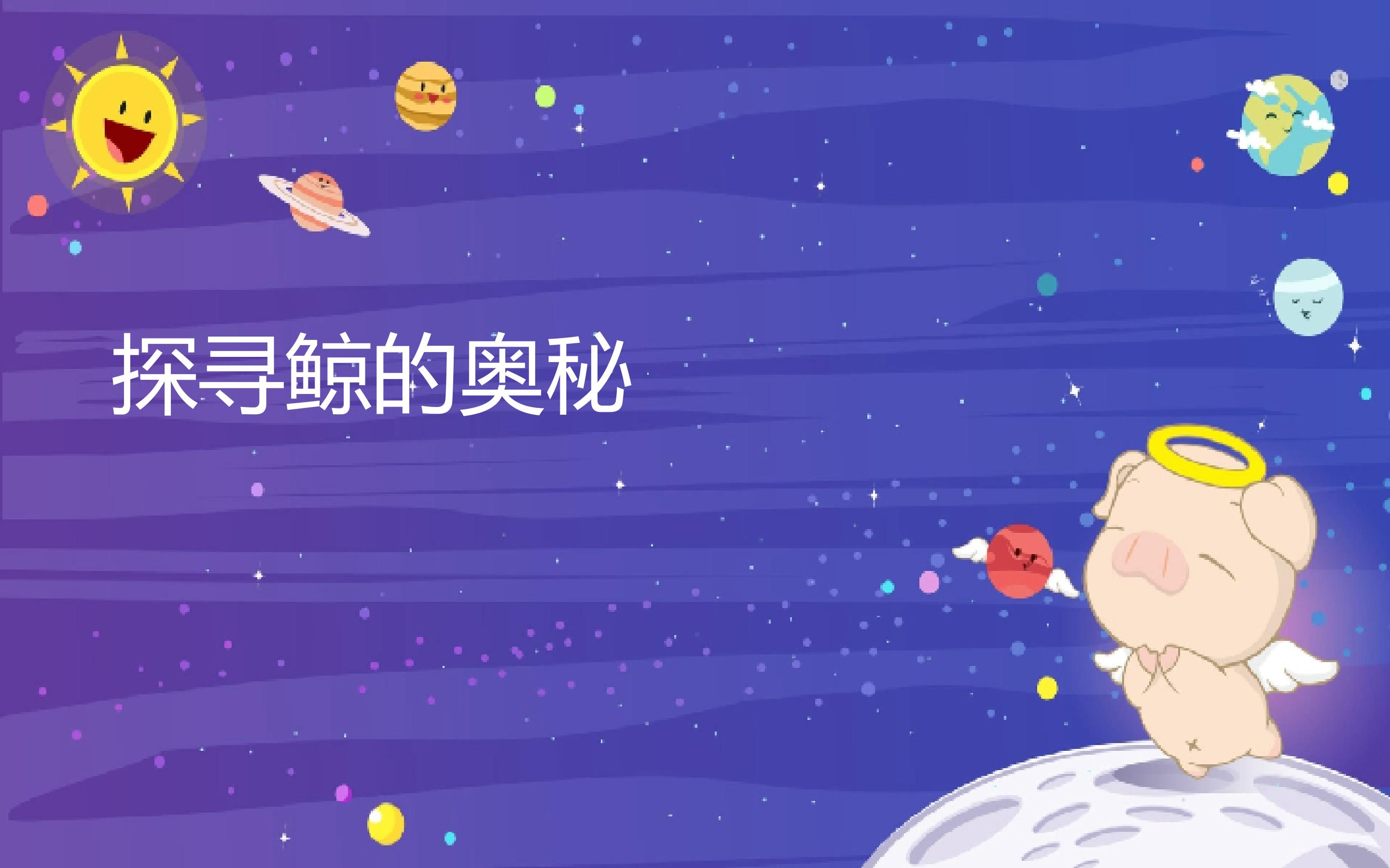 《探寻鲸的奥秘》