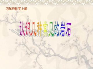 《认识几种常见的岩石》课件3