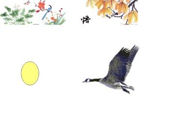 丑小鸭_课件5