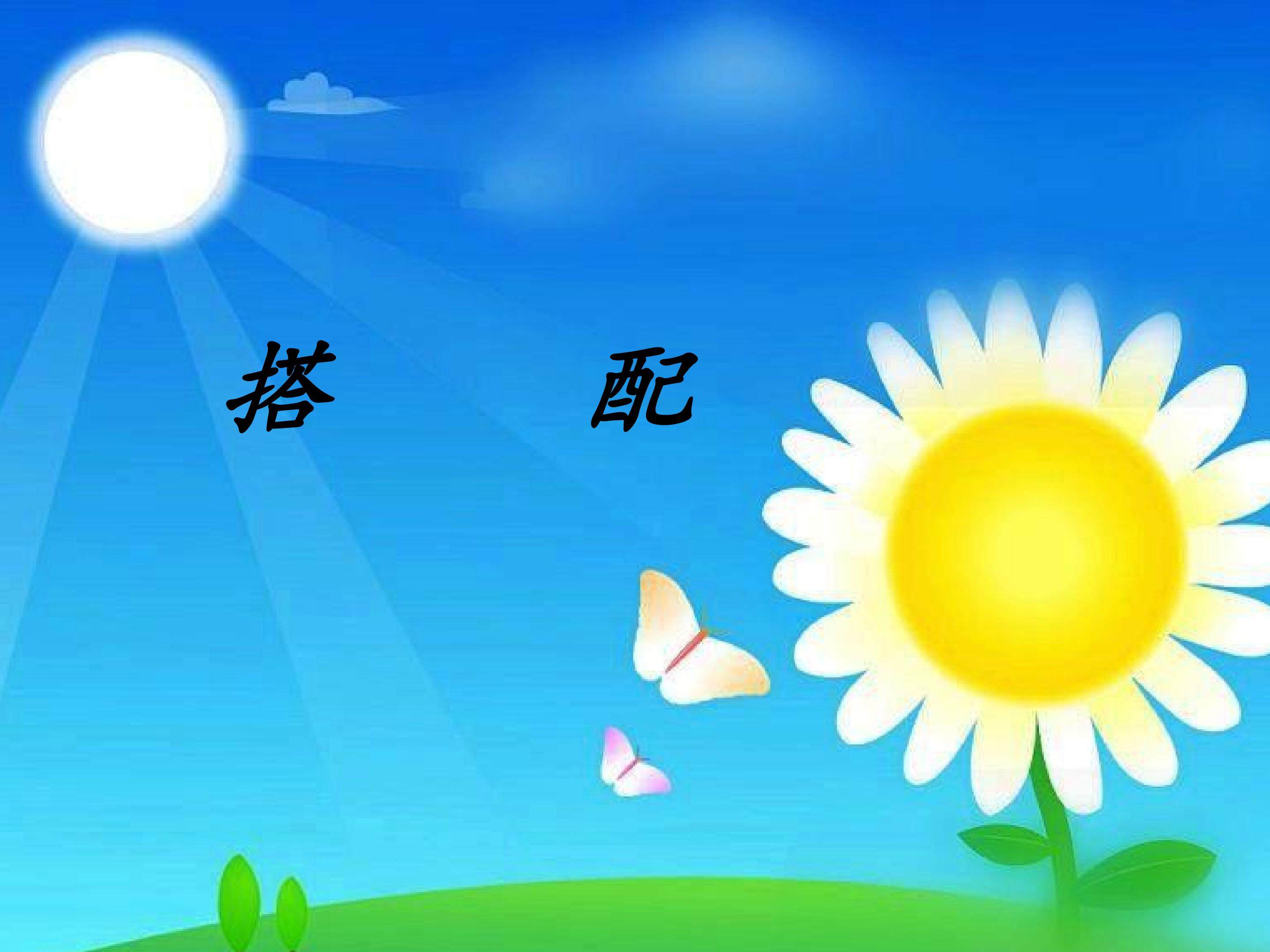 数学广角----搭配