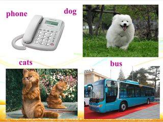 中考名词复习课