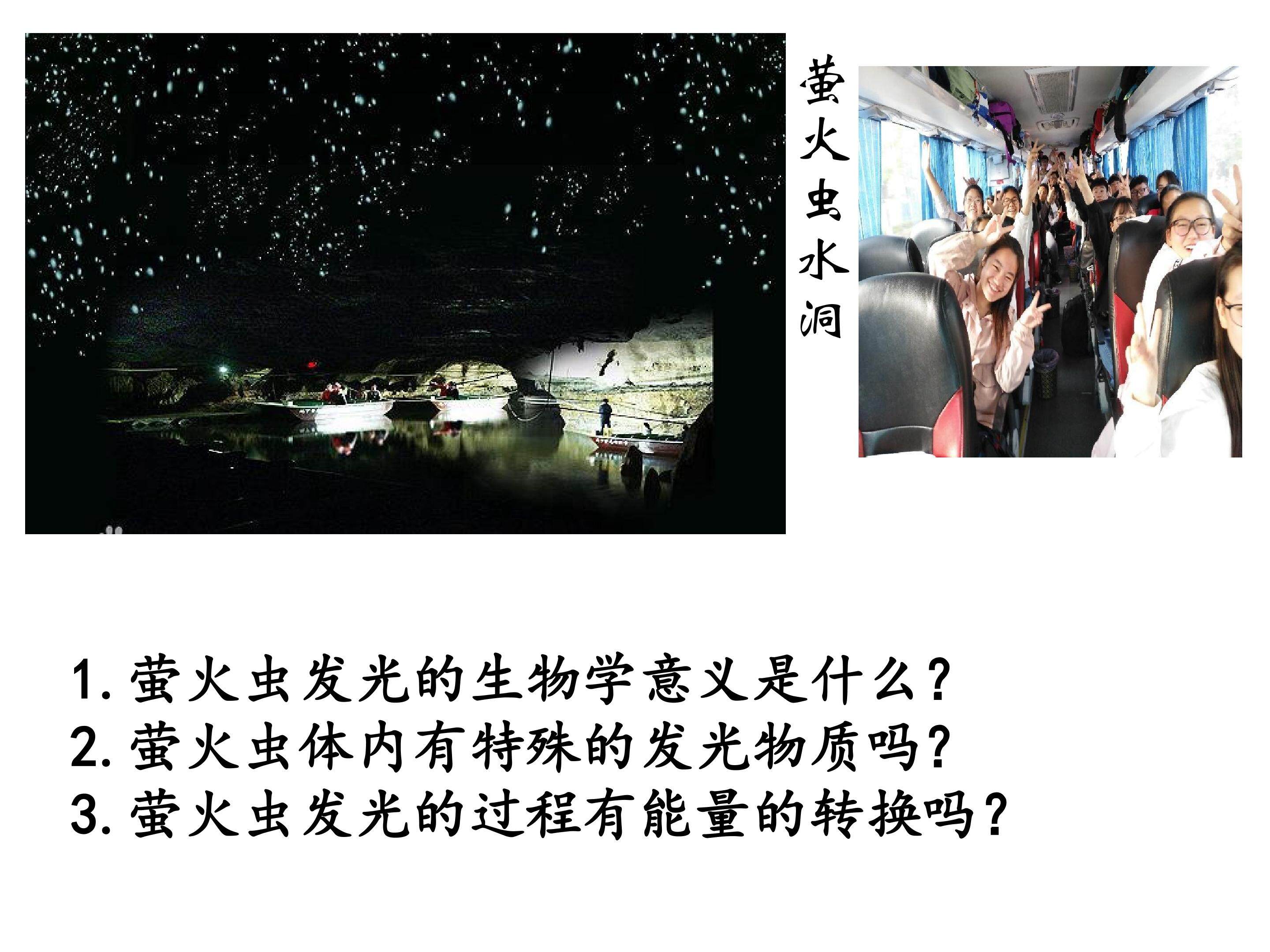 细胞的能量通货----ATP