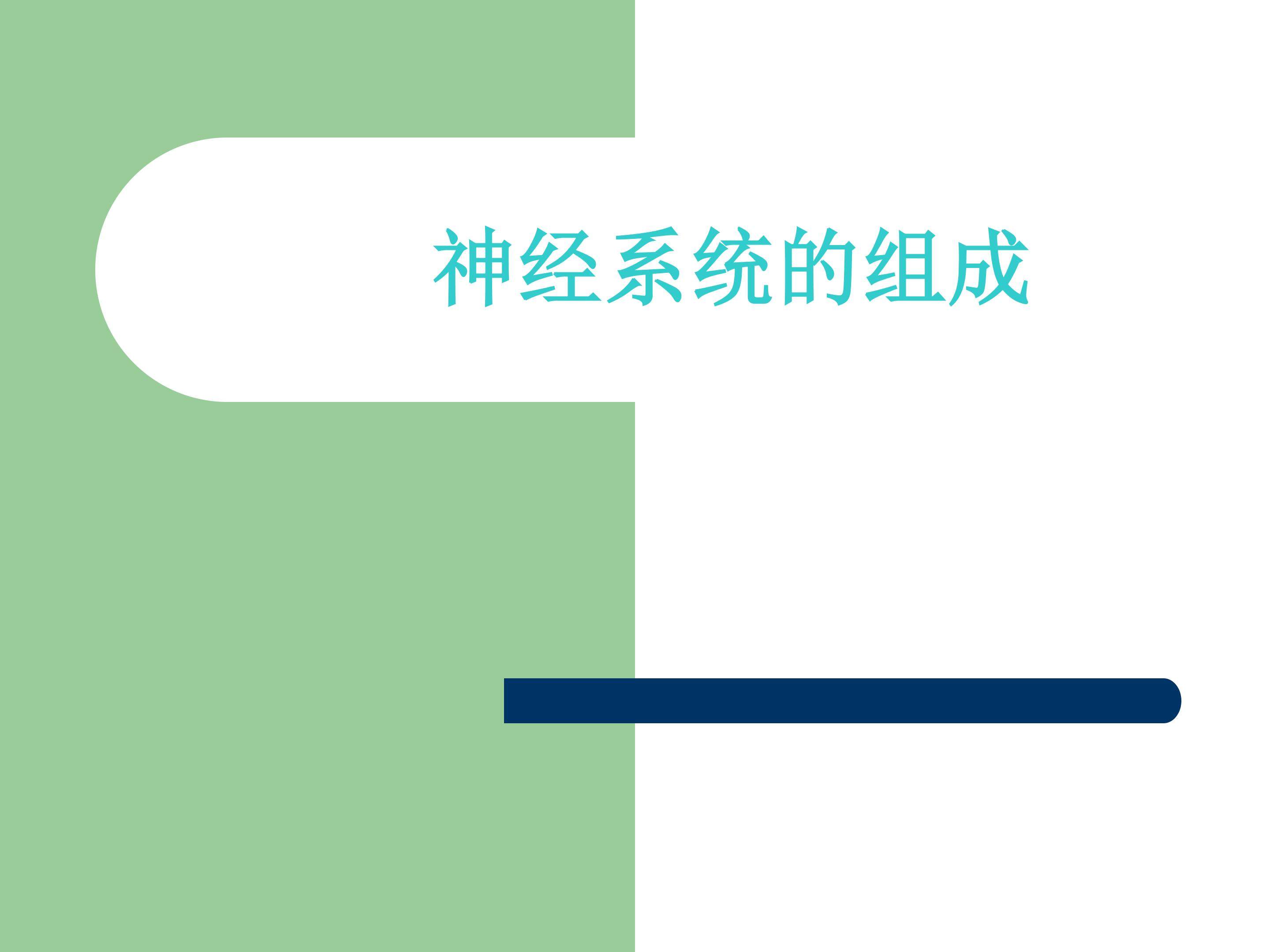 神经系统的组成_课件1