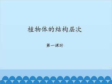 植物体的结构层次-第一课时_课件1